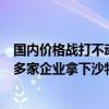 国内价格战打不动了？ 光伏企业战略生变：组团转战中东，多家企业拿下沙特大单