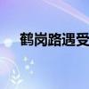 鹤岗路遇受重伤黑熊 网友急呼救援进展