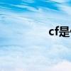 cf是什么游戏（cf是什么）