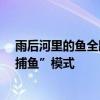 雨后河里的鱼全跑出来了&#32;大人小孩开启快乐“捕鱼”模式