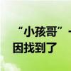 “小孩哥”一写作业就变身 “奥特曼”？原因找到了