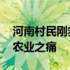 河南村民刚救回的庄稼又淹了 自然灾难下的农业之痛