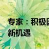 专家：积极因素积聚 市场有望企稳 电网投资新机遇