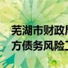 芜湖市财政局：编制“1+7+X”防范化解地方债务风险工作方案