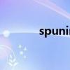 spuninst是什么（spuninst）