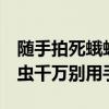 随手拍死蛾蚋 男子被迫摘除眼球 这种常见小虫千万别用手拍