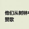 他们从树林中背出78岁迷路老人 爱与坚持的赞歌