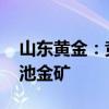 山东黄金：竞拍取得矿业权 该探矿权包含仇池金矿