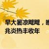 早大暑凉飕飕，晚大暑热死牛” 今年大暑是几点：晚大暑预兆炎热丰收年