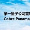 第一量子公司首席执行官Tristan Pascall：预计旗下巴拿马Cobre Panama铜矿年内不会重启。