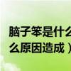 脑子笨是什么原因造成的怎么治（脑子笨是什么原因造成）