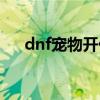 dnf宠物开什么盒子（dnf开宠物技巧）