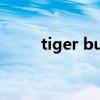 tiger bunny动漫（tigerbunny）