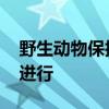 野生动物保护园回应蟒蛇越狱 搜捕行动正在进行