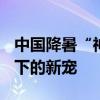 中国降暑“神器”凉席火到法国 高温“炙烤”下的新宠