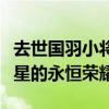 去世国羽小将将获中国体育最高荣誉：年轻新星的永恒荣耀