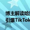 博主解读哈里斯的“三张图片” 椰子树笑料引爆TikTok