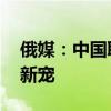 俄媒：中国取代埃及受到俄游客欢迎 海南成新宠