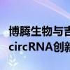 博腾生物与吉赛生物达成战略合作，聚力推进circRNA创新疗法