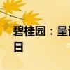 碧桂园：呈请聆讯现被延期至2025年1月20日