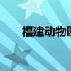 福建动物园蟒蛇出逃 紧急搜捕进行中