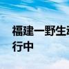 福建一野生动物保护园蟒蛇出逃 紧急搜捕进行中