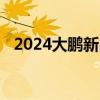 2024大鹏新区小一初一录取结果公布时间