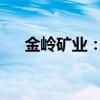 金岭矿业：董事长付博因工作变动辞职