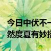 今日中伏不一般：1不去、2要忌、吃3样，安然度夏有妙招