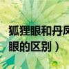 狐狸眼和丹凤眼的区别是什么（狐狸眼和丹凤眼的区别）