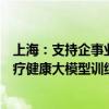 上海：支持企事业单位依托人工智能数据训练设施，开展医疗健康大模型训练