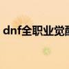 dnf全职业觉醒视频2（dnf全职业觉醒视频）