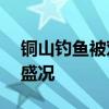 铜山钓鱼被邓刚盯上了 300万网友围观直播盛况