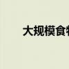 大规模食物中毒？字节跳动最新回应