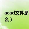 acad文件是什么可以删除吗（acad文件是什么）