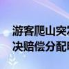 游客爬山突发心脏病死亡旅行社担责 法院判决赔偿分配明确