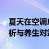 夏天在空调房待久了为何会感到口干 中医解析与养生对策