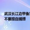 武汉长江边甲鱼冒头，专家：水位上涨导致甲鱼“搬迁”，不要擅自捕捞