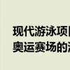 现代游泳项目四种泳姿的来历 从石器时代到奥运赛场的演变