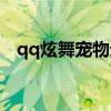 qq炫舞宠物进阶图鉴（qq炫舞宠物技能）