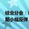 硅业分会：市场底部达成共识 多晶硅价格短期小幅反弹