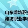 山东潍坊职业学院官网录取查询2023（山东潍坊职业学院官网）