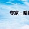 专家：哈尼亚遭暗杀令哈马斯更被动