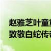 赵雅芝叶童重聚西湖边 重现经典，浪漫同框致敬白蛇传奇