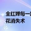 全红婵每一跳家人校友都在欢呼 巴黎首金水花消失术