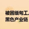 被困缅甸工人家属谈骗子行骗手段 揭秘电诈黑色产业链