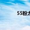 55粉太刀戮蛊刃（55粉太刀）