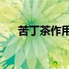 苦丁茶作用和功效50字（苦丁茶作用）