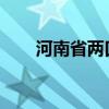 河南省两口岸获批国家智慧口岸试点