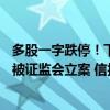 多股一字跌停！下半年迄今12家上市公司公告公司或相关方被证监会立案 信披违规成焦点